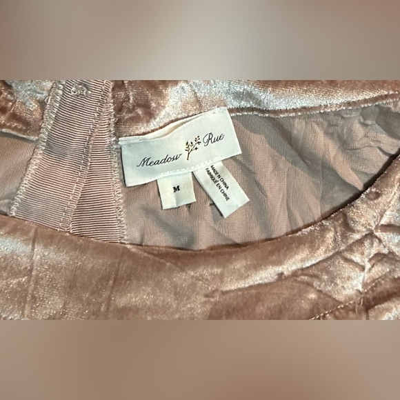 Anthropologie Meadow Rue Romantic Crushed Velvet Top w Chiffon Balloon Sleeves - Picture 9 of 9